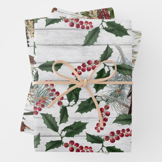  vogelpest kerstmis inpakpapier vel (In situ)