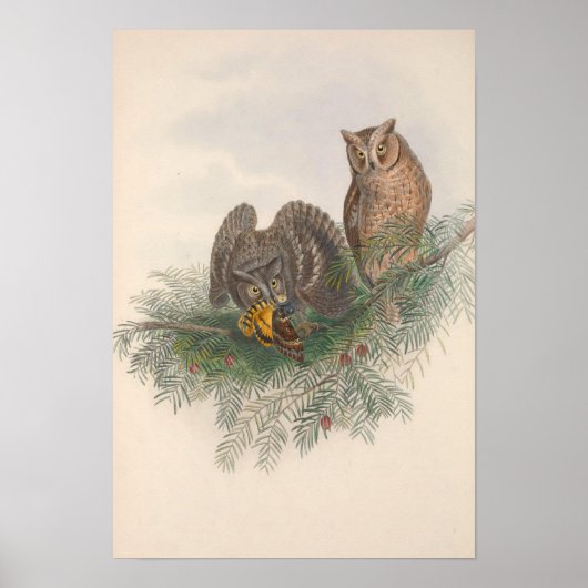 vogelpest met de mond- en klauwzeerooi poster (Voorkant)
