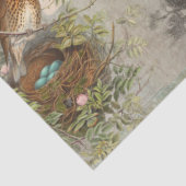 vogelpest Nest Eggs Script Ephemera-ontkoppeling Tissuepapier (Detail)