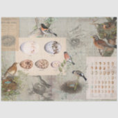 vogelpest Nest Eggs Script Ephemera-ontkoppeling Tissuepapier (Voorkant)