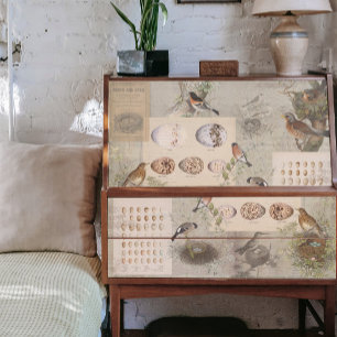  vogelpest Nest Eggs Script Ephemera-ontkoppeling Tissuepapier