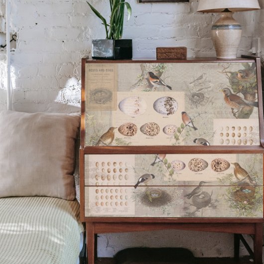 vogelpest Nest Eggs Script Ephemera-ontkoppeling Tissuepapier