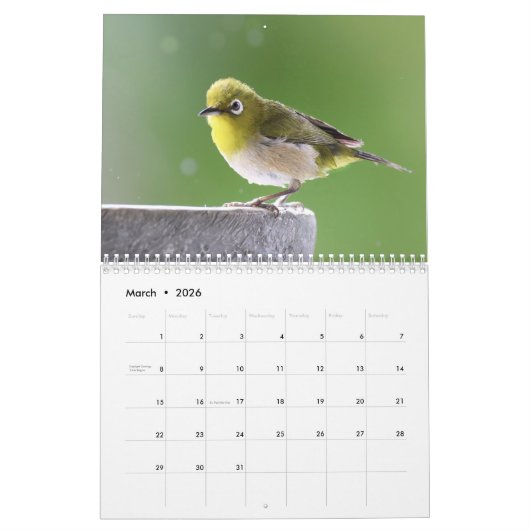 Vogelplezier bij de fontein kalender (Mar 2026)
