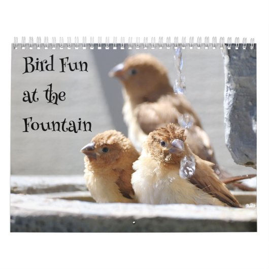 Vogelplezier bij de fontein kalender (Hoes)