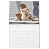 Vogelplezier bij de fontein kalender (Jan 2027)