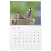 Vogelplezier bij de fontein kalender (Feb 2027)