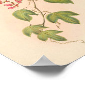  vogelplukkers poster (Hoek)