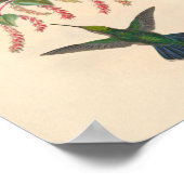 vogelplukkers poster (Hoek)