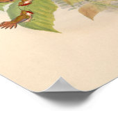  vogelplukkers poster (Hoek)