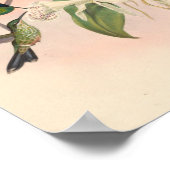  vogelplukkers poster (Hoek)