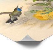 vogelplukkers poster (Hoek)