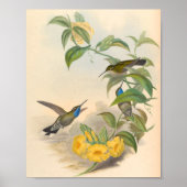 vogelplukkers poster (Voorkant)