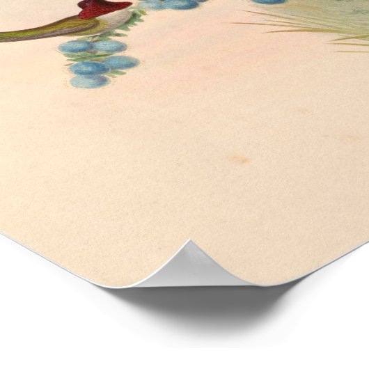  vogelplukkers poster (Hoek)