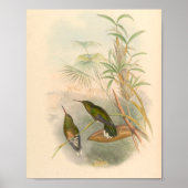 vogelplukkers poster (Voorkant)