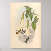  vogelplukkers poster (Voorkant)