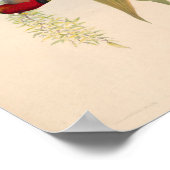  vogelplukkers poster (Hoek)