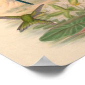 vogelplukkers poster (Hoek)