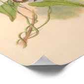 vogelplukkers poster (Hoek)