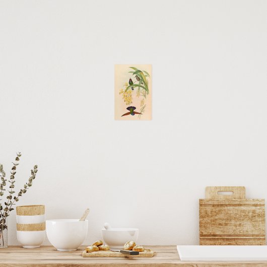  vogelplukkers poster (Keuken)