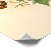 vogelplukkers poster (Hoek)