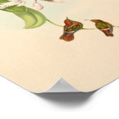  vogelplukkers poster (Hoek)