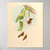  vogelplukkers poster (Voorkant)