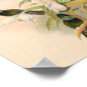  vogelplukkers poster (Hoek)