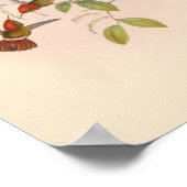  vogelplukkers poster (Hoek)