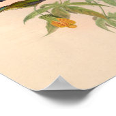  vogelplukkers poster (Hoek)