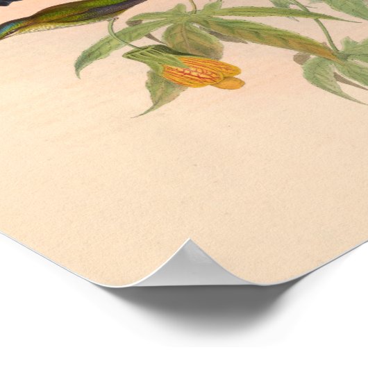  vogelplukkers poster (Hoek)