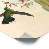 vogelplukkers poster (Hoek)