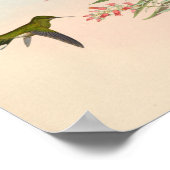  vogelplukkers poster (Hoek)