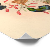  vogelplukkers poster (Hoek)