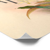 vogelplukkers poster (Hoek)