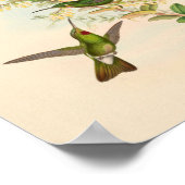  vogelplukkers poster (Hoek)