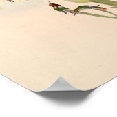  vogelplukkers poster (Hoek)