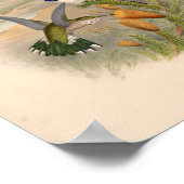 vogelplukkers poster (Hoek)