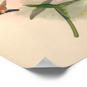 vogelplukkers poster (Hoek)