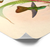 vogelplukkers poster (Hoek)