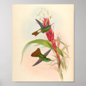  vogelplukkers poster (Voorkant)