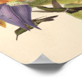  vogelplukkers poster (Hoek)