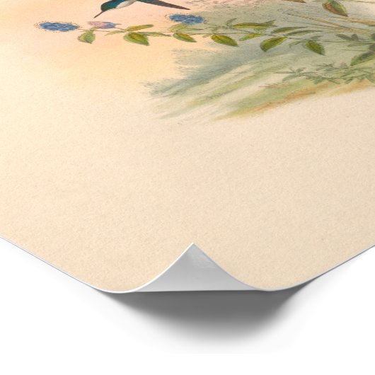  vogelplukkers poster (Hoek)