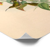 vogelplukkers poster (Hoek)