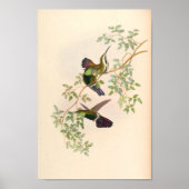  vogelplukkers poster (Voorkant)