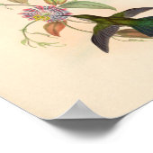  vogelplukkers poster (Hoek)