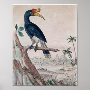 Vogelposter Poster