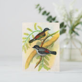  vogelprint briefkaart (Staand voorkant)