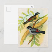  vogelprint briefkaart (Voorkant / Achterkant)