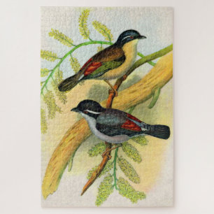 vogelprint legpuzzel