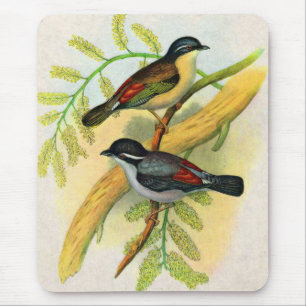 vogelprint muismat